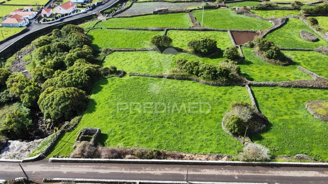 Terreno para Venda em São Bartolomeu de Regatos Foto 6