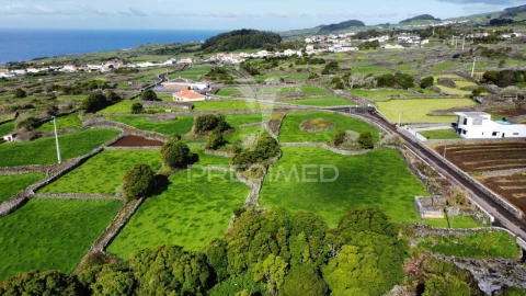Terreno para Venda em São Bartolomeu de Regatos