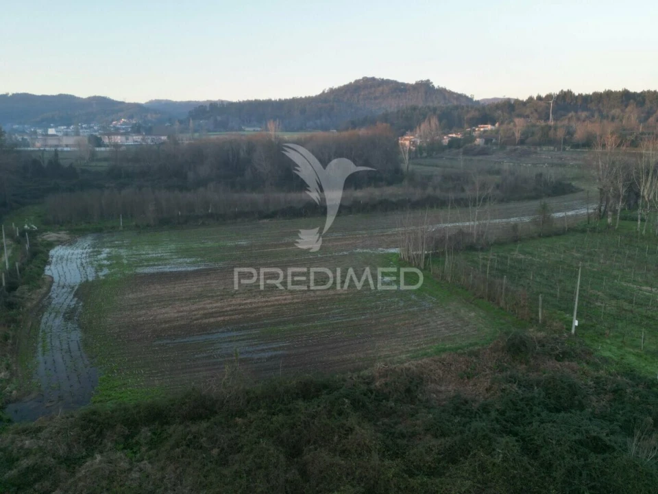 Terreno para Venda em Briteiros Santo Estêvão e Donim Foto 7