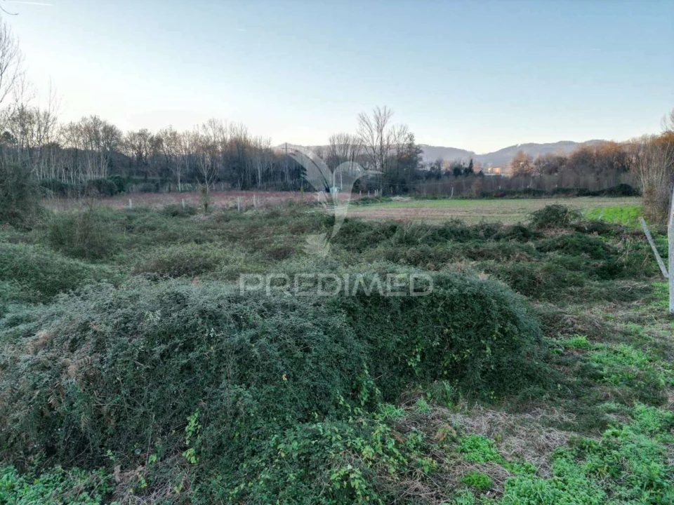 Terreno para Venda em Briteiros Santo Estêvão e Donim Foto 6