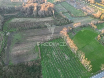 Terreno para Venda em Briteiros Santo Estêvão e Donim