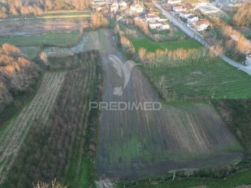 Terreno para Venda em Briteiros Santo Estêvão e Donim