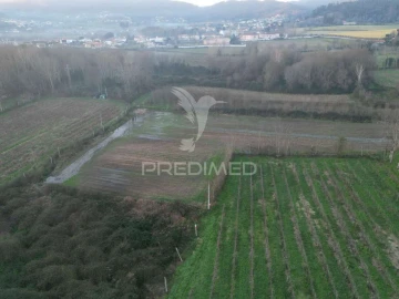 Terreno para Venda em Briteiros Santo Estêvão e Donim