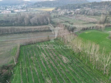 Terreno para Venda em Briteiros Santo Estêvão e Donim