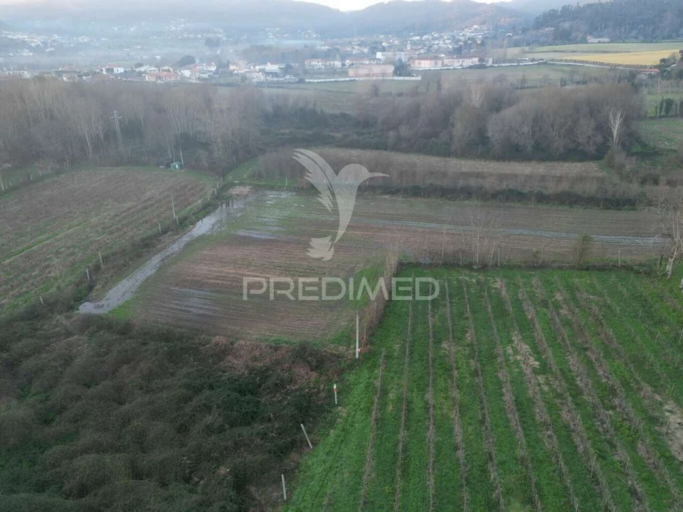 Terreno para Venda em Briteiros Santo Estêvão e Donim Foto 8