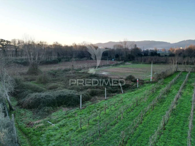 Terreno para Venda em Briteiros Santo Estêvão e Donim Foto 4