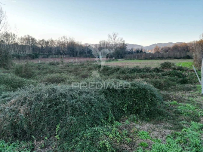 Terreno para Venda em Briteiros Santo Estêvão e Donim Foto 6