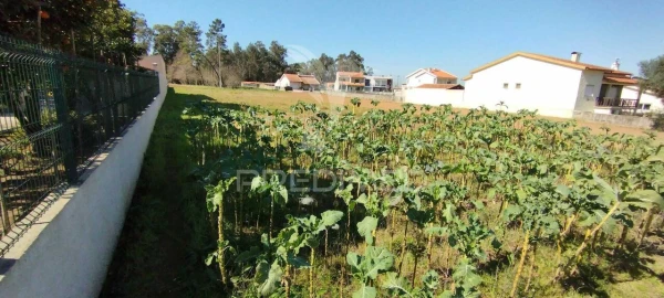 Terreno para Venda em Barrô e Aguada de Baixo