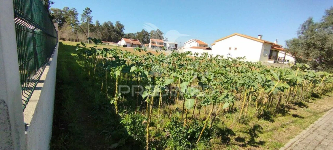 Terreno para Venda em Barrô e Aguada de Baixo Foto 2