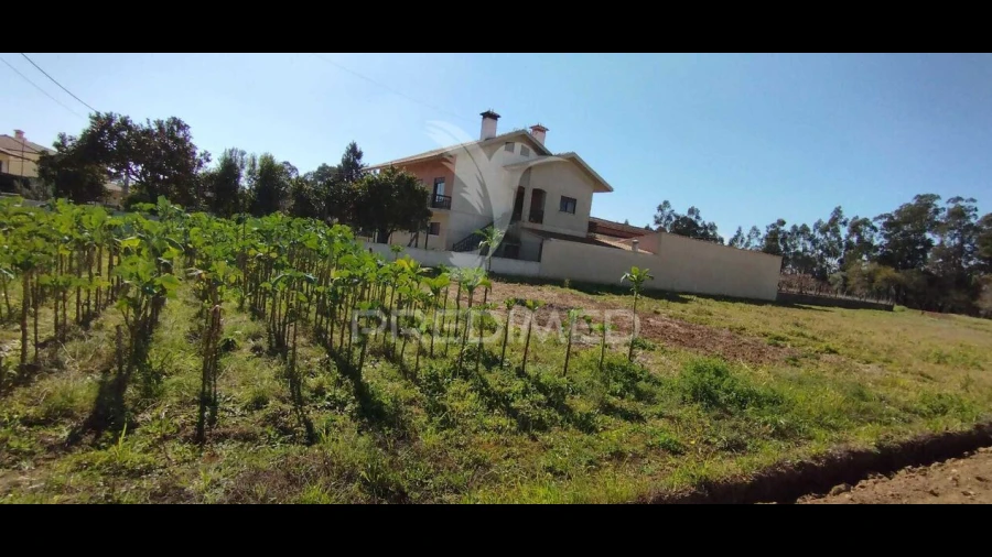 Terreno para Venda em Barrô e Aguada de Baixo
