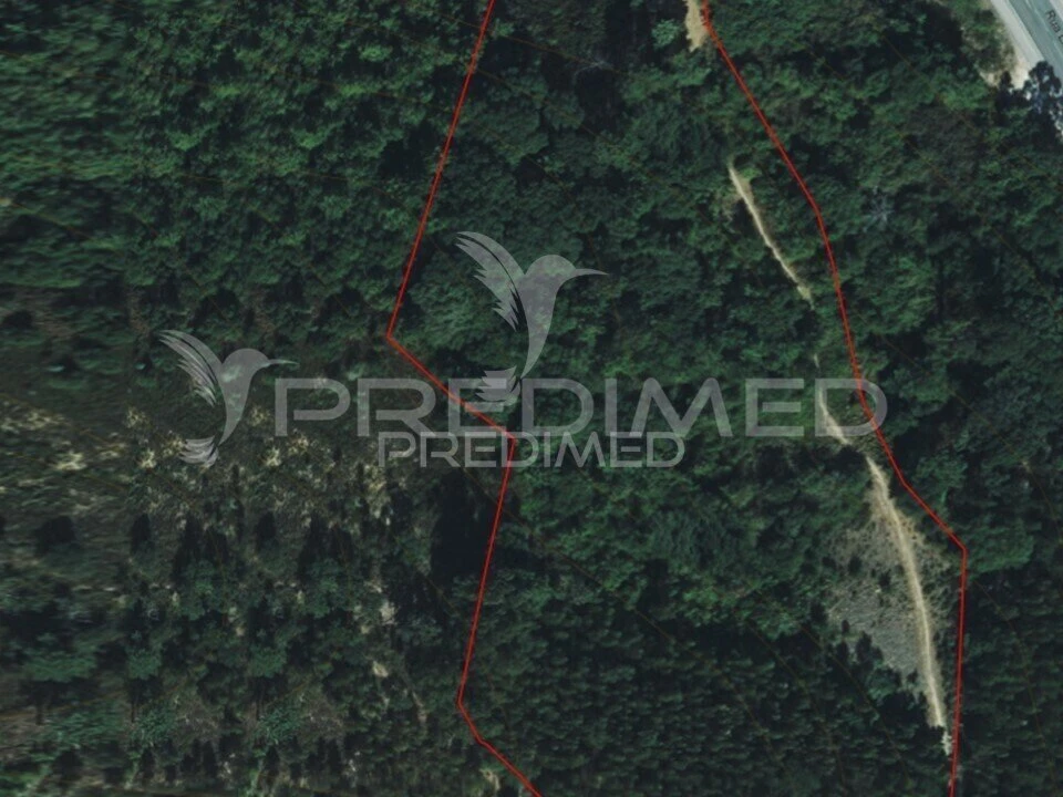 Terreno para Venda em Lousa Foto 1