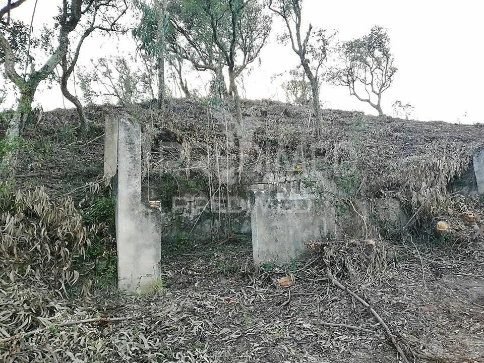 Terreno para Venda em Lousa Foto 2