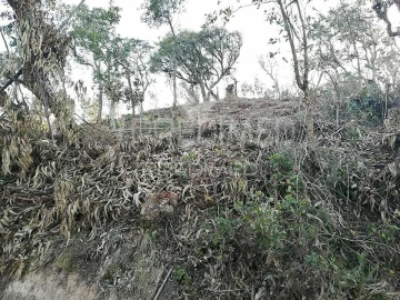Terreno para Venda em Lousa