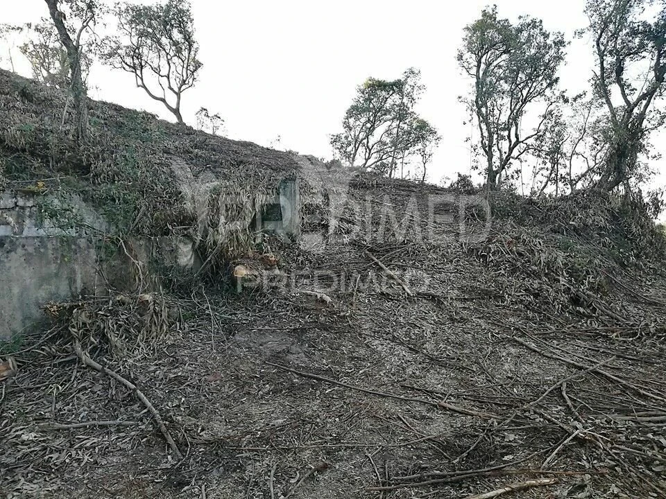 Terreno para Venda em Lousa Foto 3