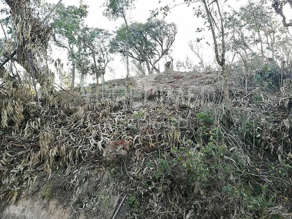 Terreno para Venda em Lousa Foto 5