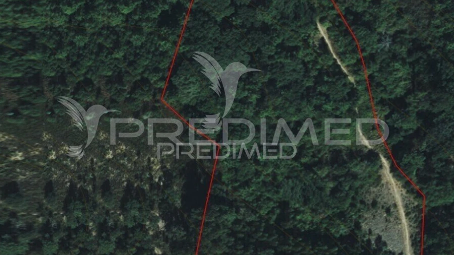 Terreno para Venda em Lousa