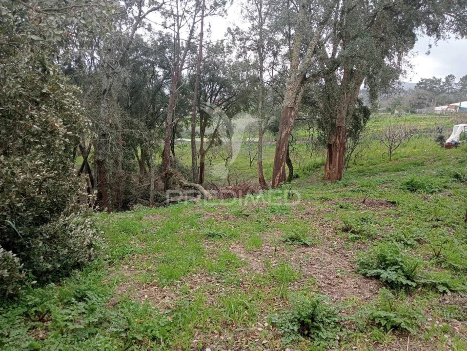 Terreno para Venda em Porto de Mós - São João Baptista e São Pedro Foto 7