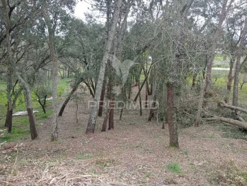 Terreno para Venda em Porto de Mós - São João Baptista e São Pedro