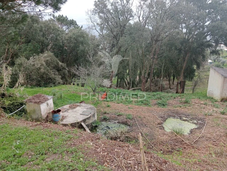 Terreno para Venda em Porto de Mós - São João Baptista e São Pedro Foto 6