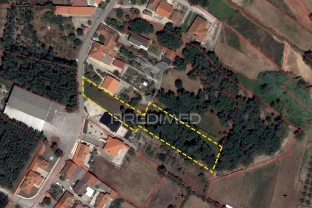 Terreno para Venda em Porto de Mós - São João Baptista e São Pedro Foto 10