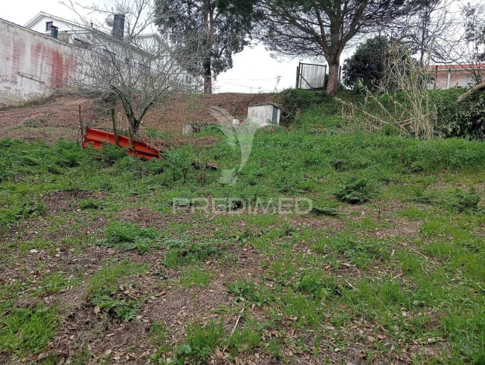 Terreno para Venda em Porto de Mós - São João Baptista e São Pedro Foto 8