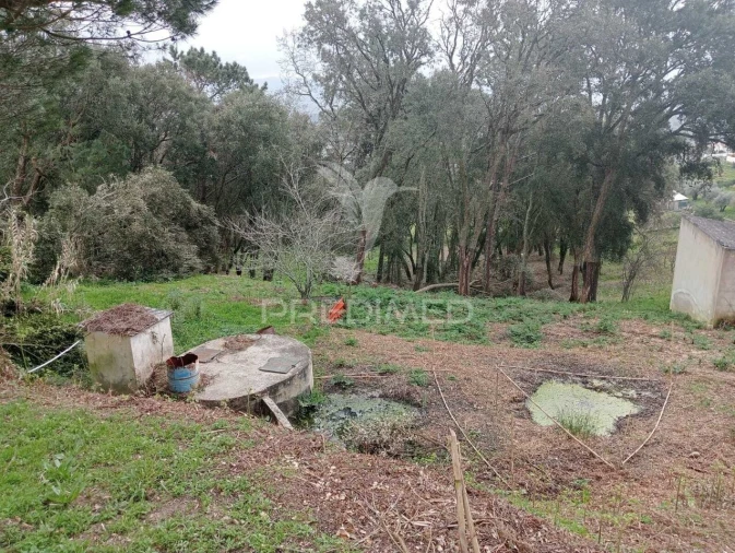 Terreno para Venda em Porto de Mós - São João Baptista e São Pedro Foto 6