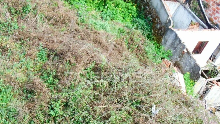 Moradia T2 para Venda em Borbela e Lamas de Olo
