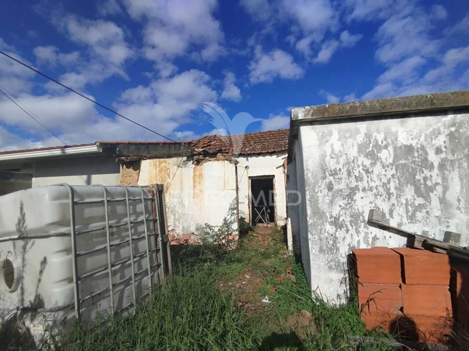 Moradia T3 para Venda em Chamusca e Pinheiro Grande Foto 4