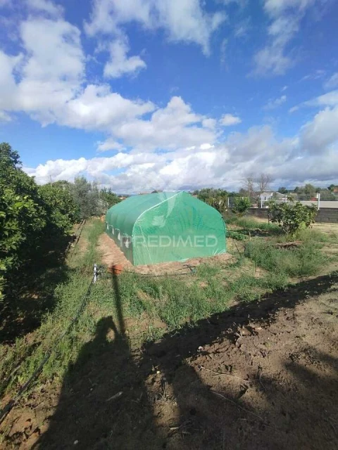 Moradia T3 para Venda em Chamusca e Pinheiro Grande