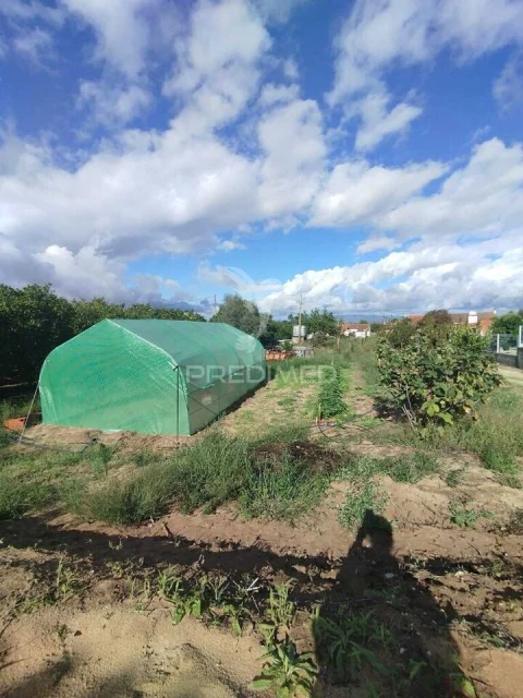 Moradia T3 para Venda em Chamusca e Pinheiro Grande