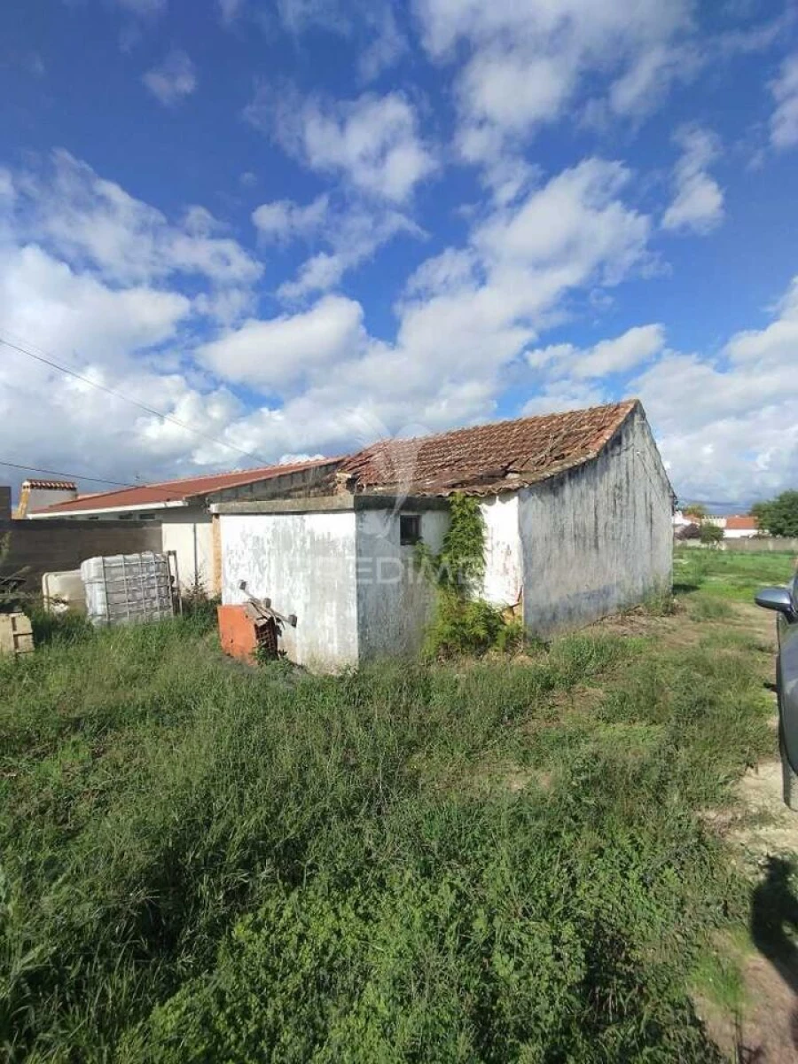 Moradia T3 para Venda em Chamusca e Pinheiro Grande Foto 3