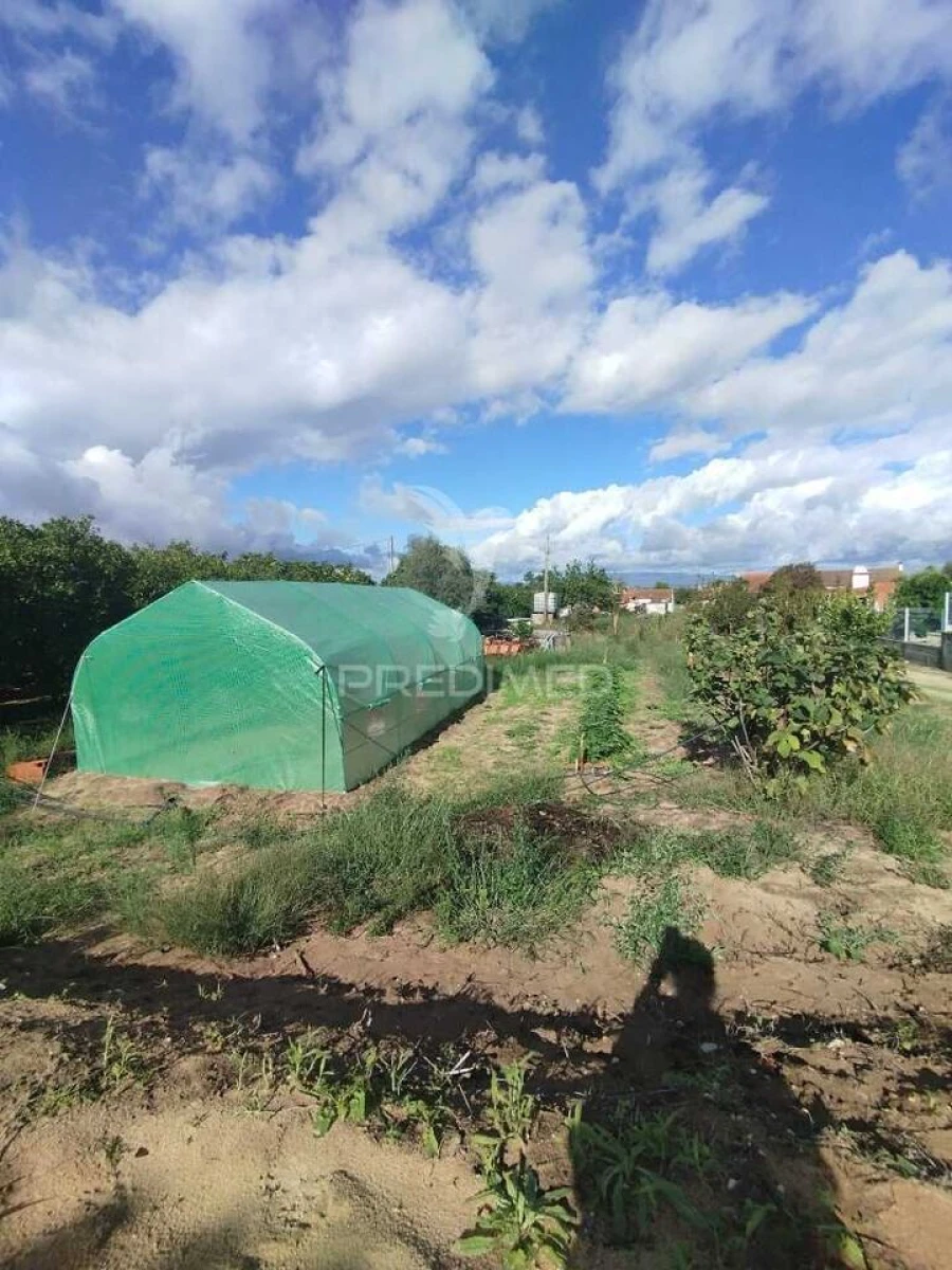 Moradia T3 para Venda em Chamusca e Pinheiro Grande Foto 8