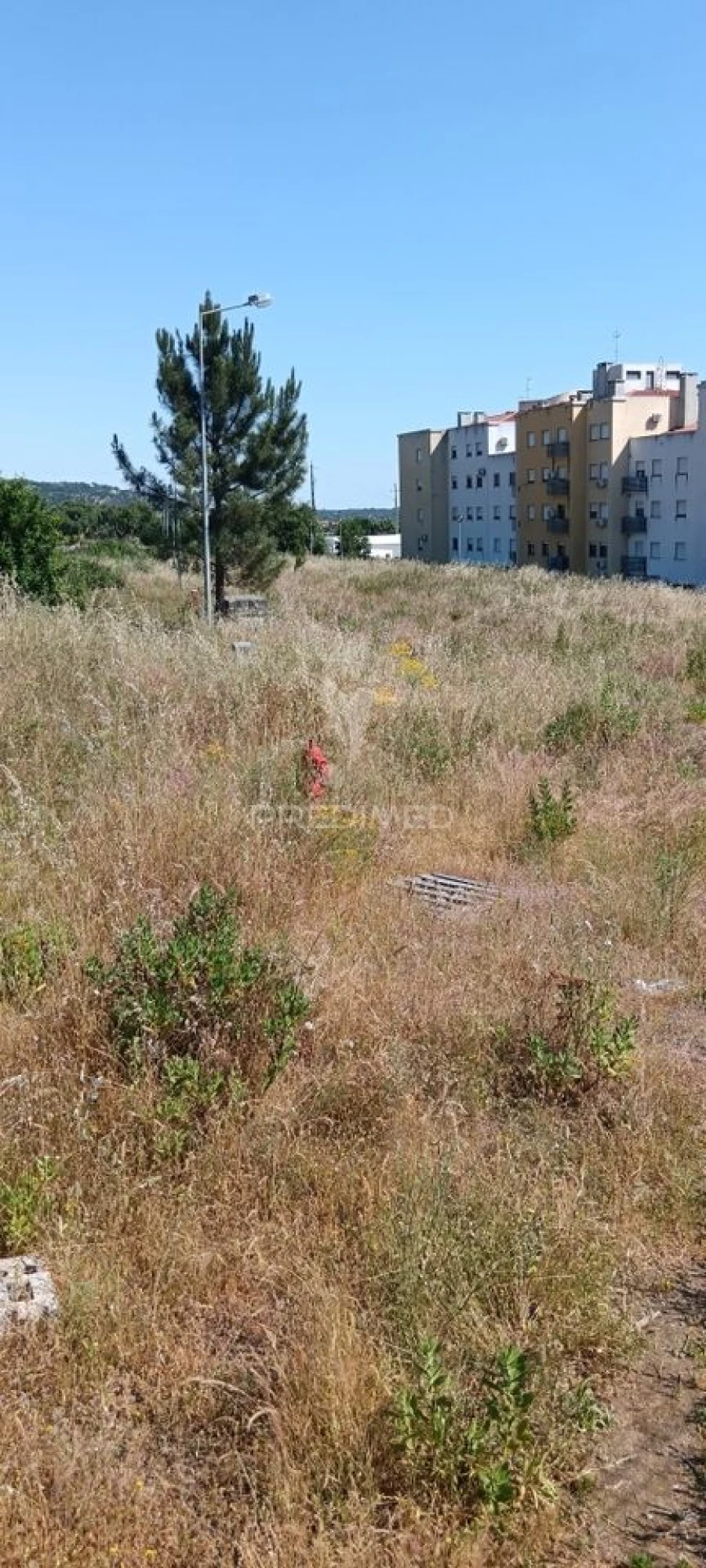 Terreno para Venda em Sé e São Lourenço Foto 5