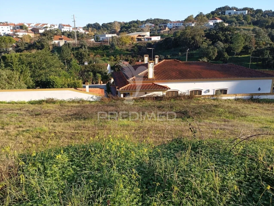 Terreno para Venda em Chamusca e Pinheiro Grande Foto 3