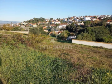 Terreno para Venda em Chamusca e Pinheiro Grande