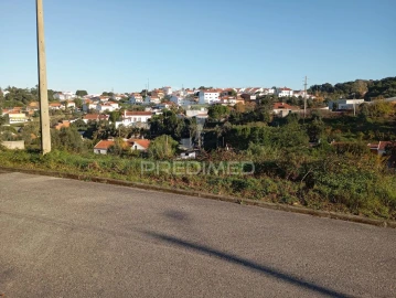 Terreno para Venda em Chamusca e Pinheiro Grande