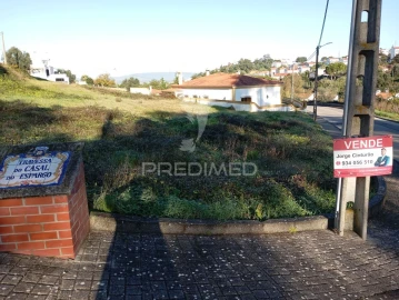 Terreno para Venda em Chamusca e Pinheiro Grande