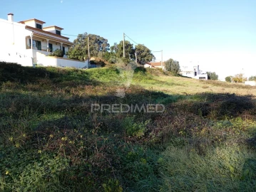 Terreno para Venda em Chamusca e Pinheiro Grande