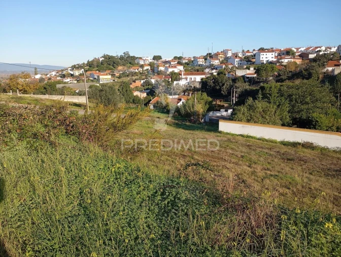 Terreno para Venda em Chamusca e Pinheiro Grande Foto 4