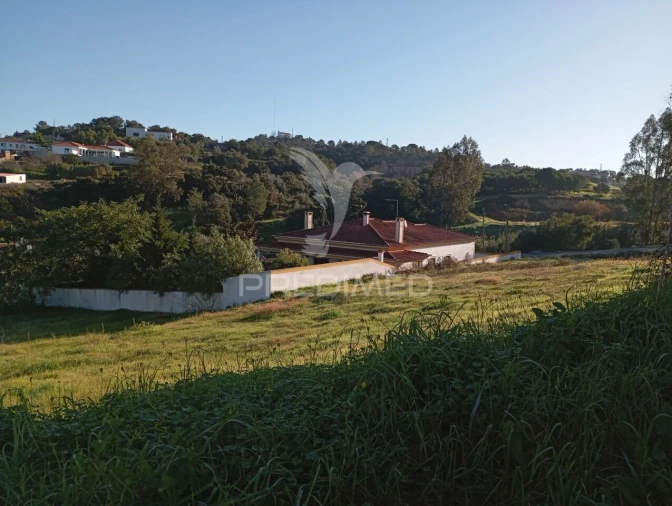 Terreno para Venda em Chamusca e Pinheiro Grande Foto 8