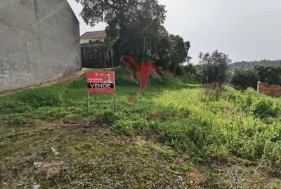 Terreno para Venda em Alcanena e Vila Moreira