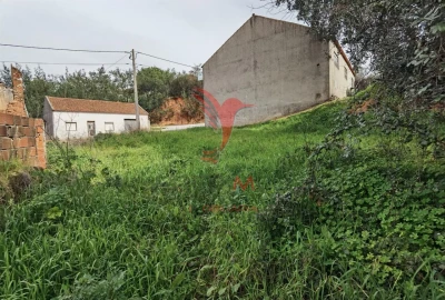 Terreno para Venda em Alcanena e Vila Moreira