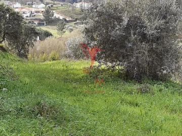 Terreno para Venda em Alcanena e Vila Moreira