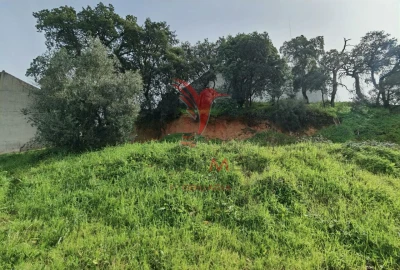 Terreno para Venda em Alcanena e Vila Moreira