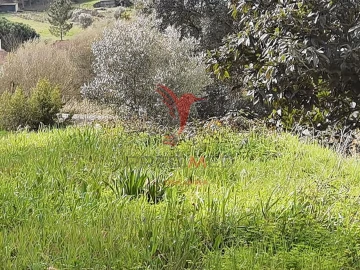 Terreno para Venda em Alcanena e Vila Moreira