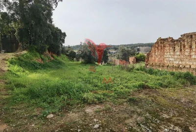 Terreno para Venda em Alcanena e Vila Moreira