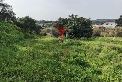 Terreno para Venda em Alcanena e Vila Moreira
