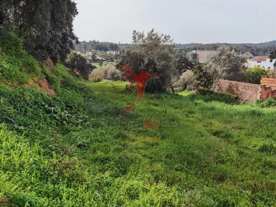 Terreno para Venda em Alcanena e Vila Moreira Foto 19