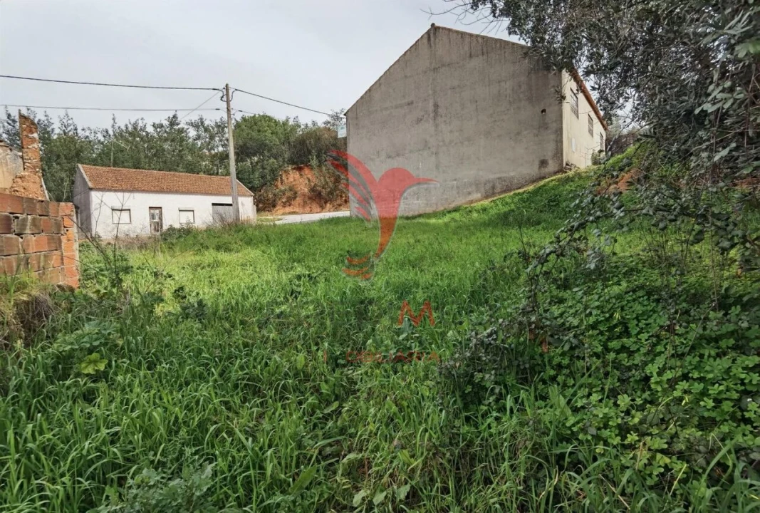 Terreno para Venda em Alcanena e Vila Moreira Foto 11