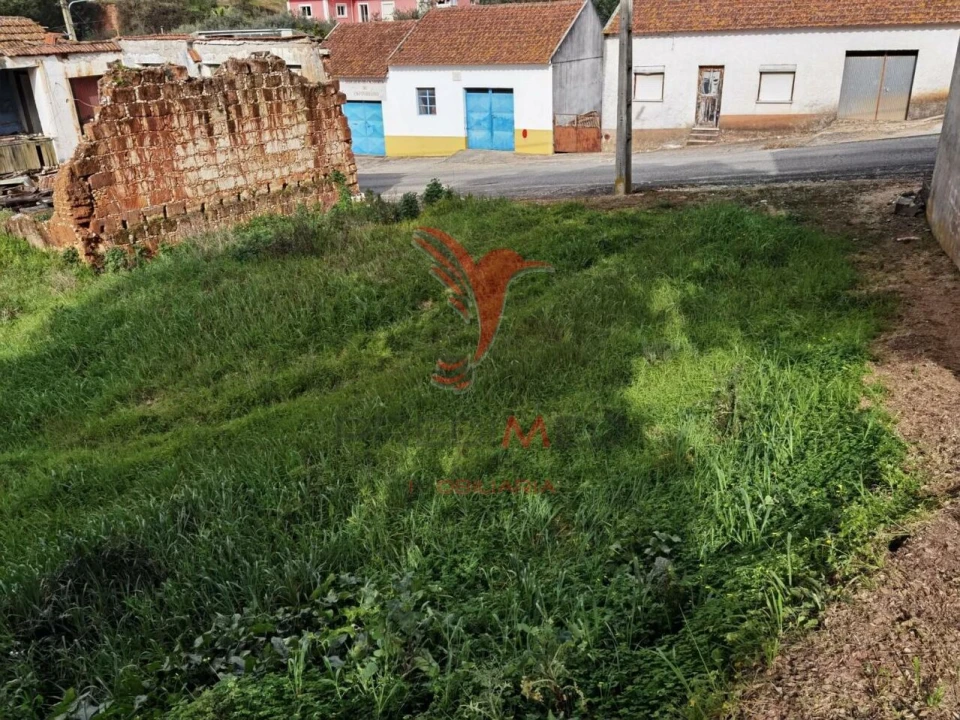 Terreno para Venda em Alcanena e Vila Moreira Foto 7
